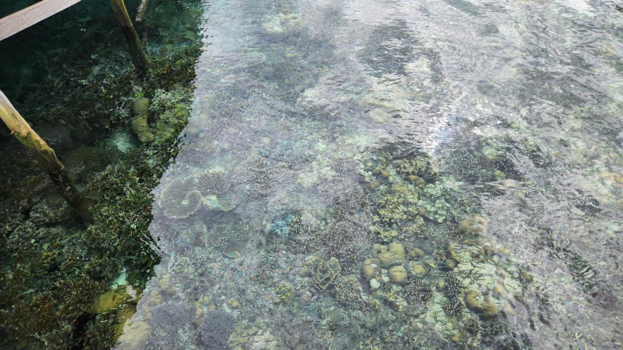 Terimakasih Homestay Pulau Mansuar Exterior foto