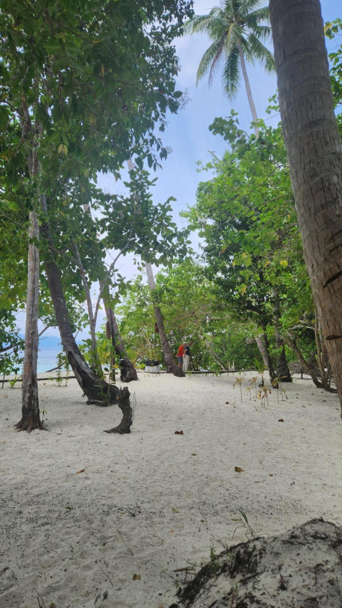 Terimakasih Homestay Pulau Mansuar Exterior foto